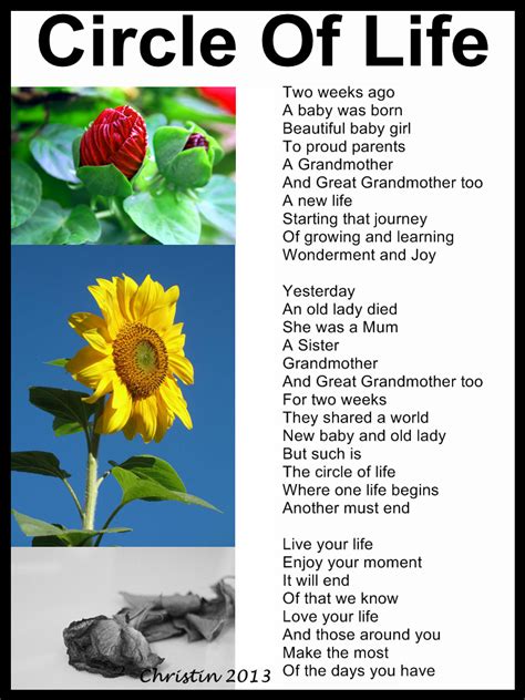 The Circle Of Life Poem Livela