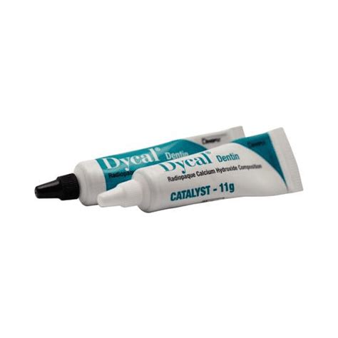 Buy Dentsply Sirona 623802 Dycal Calcium Hydroxide Dental Liner