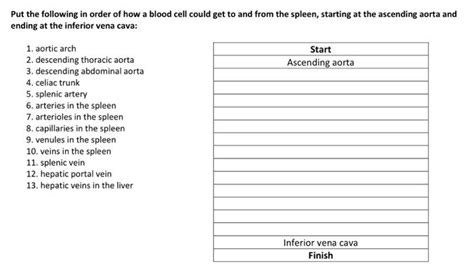 Solved Concept Map Use Each Of The Following Terms Once To