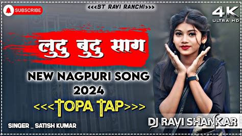 Ludu Budu Sag Lakhe Dikh Ludu Budu Sag Nagpuri Song Dj Remix 2024 Dj