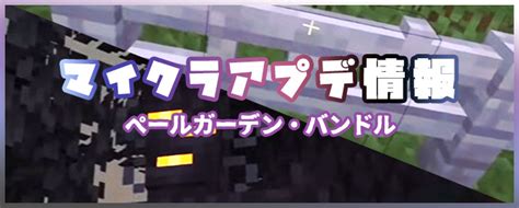 【最新冬アプデ】マイクラアップデート情報まとめ！ マイクラモール