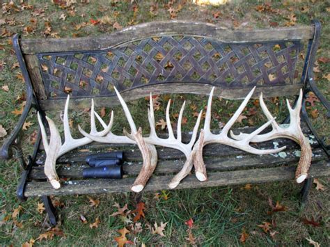 How to Find Deer Antler Sheds | Mossy Oak Gamekeeper