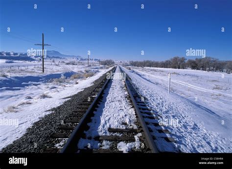 Tracks Snow Near San Felipe Pueblo Rio Grande Valley New Mexico