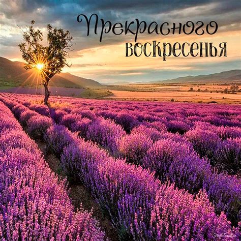 Открытки с воскресными пожеланиями и надписями