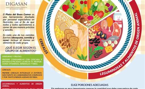 Que Es El Plato Del Buen Comer Contenido E Importancia Para Una