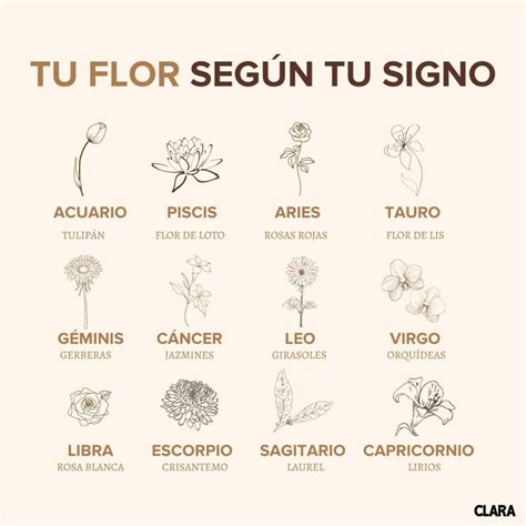 Cu L Es Tu Flor De La Suerte Seg N Tu Signo Del Zodiaco