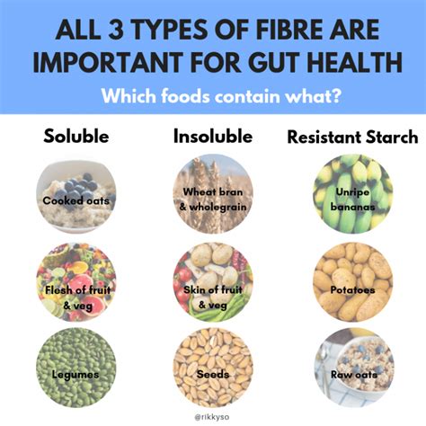 Fibre Prebiotics For Gut Health Feeding The Gut Bacteria LumaFlow