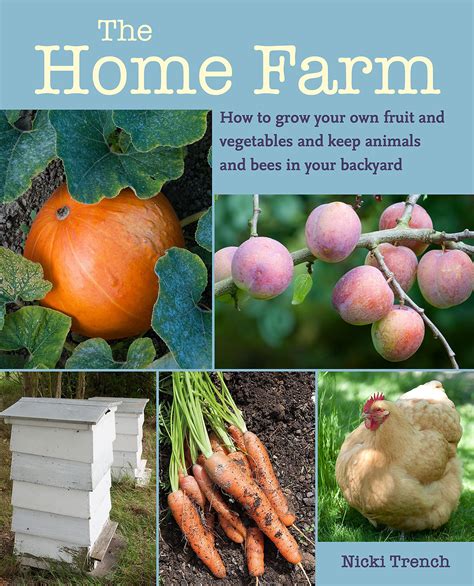 The Home Farm How To Grow Your Own Fruit And Vegetables And Keep