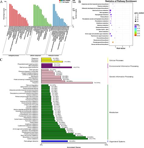 Unigenes Function Enrichment Analysis A Top Go Enriched Function