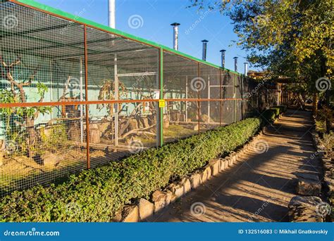 Bird Cages in the Outdoor Zoo Stock Image - Image of closeup, forbidden: 132516083