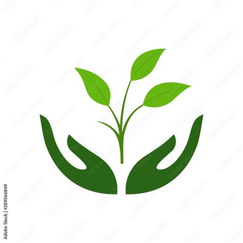 Icon Of Hands Carefully Holding Green Leaves Symbol Of Ecology