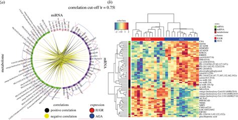 Circos Plot And Heat Map Depicting The Molecular Features Identified Download Scientific