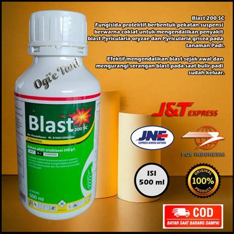 Jual Fungisida Blast Sc Mengendalikan Penyakit Pada Tanam Padi