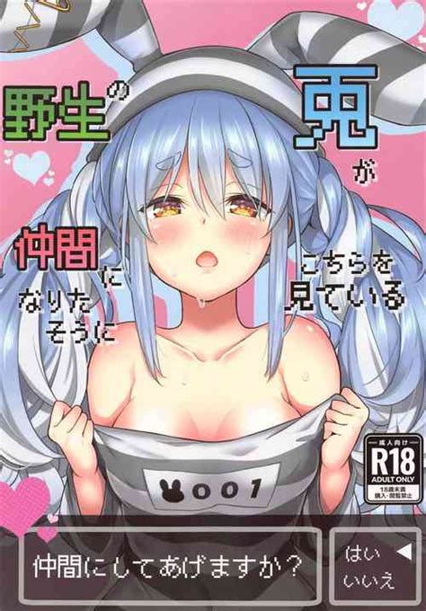 Yasei No Usagi Ga Nakama Ni Naritasou Ni Kochira Wo Miteiru Nhentai Hentai Doujinshi And Manga