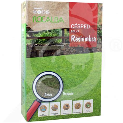 Seed Lawn Seeds For Regeneration 1 Kg Rocalba Nexles International