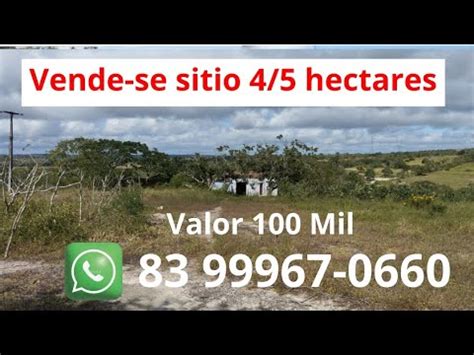 Vende se sitio 4 5 hectares Esperança pb Valor 100 Mil Zap 83 99967