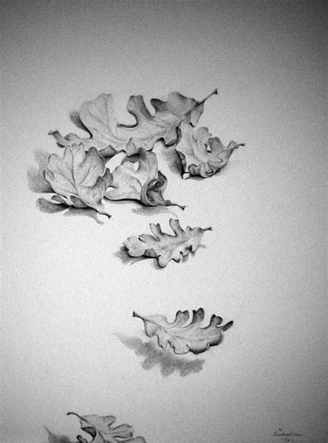 40 Leaf Pencil Drawing Ideas Leaf Drawing Pencil Drawings Flower Drawing