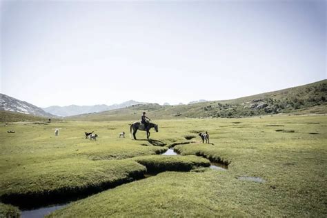 The 10 Best Horse Riding Holiday Destinations In Europe