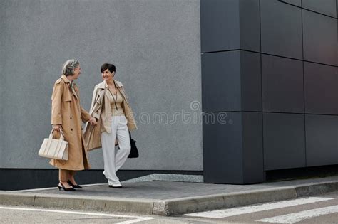 Deux Belles Femmes Une Lesbienne Mature Image Stock Image Of Confiance Moderne