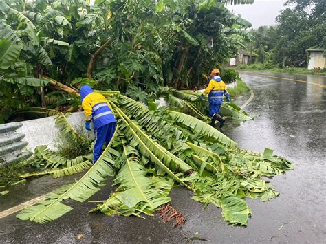 海葵肆虐路樹整片倒！台南、高雄清潔隊今加強恢復市容 環保 太報 Taisounds