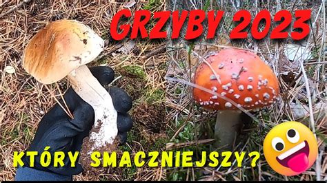 GRZYBY 2023 KTÓRY SMACZNIEJSZY pov grzyby YouTube