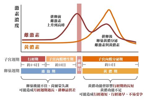 提升受孕機會．中醫孕前調理 早安健康news