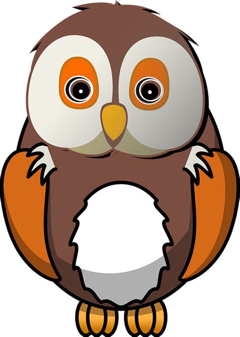 Bird Owl Animal · Free vector graphic on Pixabay