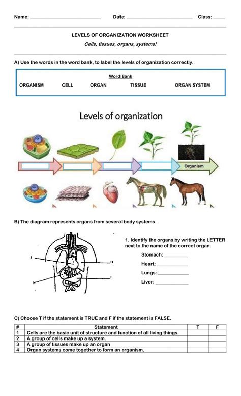 Levels Of Ecological Organization Worksheets Free Printable