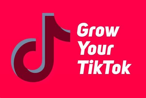 If You Re Looking Someone Professional To Grow Your Tik Tok Account