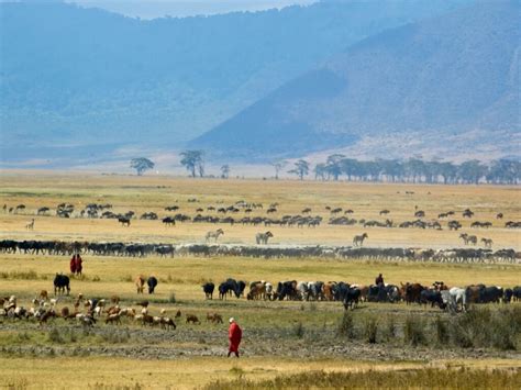 Discover Ngorongoro Crater In Tanzania One Nature Hotels