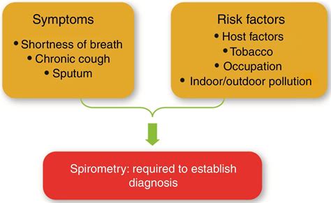 Global Strategy For The Diagnosis Management And Prevention Of Chronic Obstructive Lung