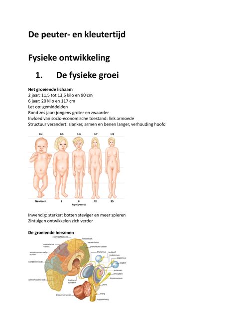 Slides De Peuter En Kleutertijd De Peuter En Kleutertijd Fysieke