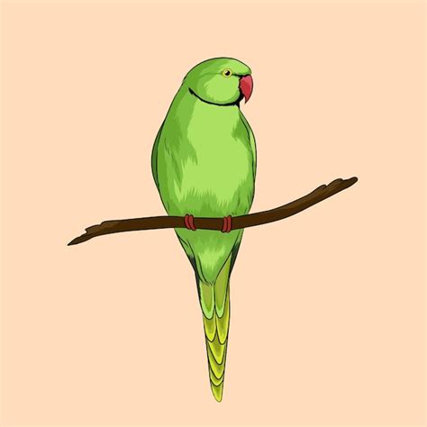 Premium Vector Vector Illustration Of Green Parrot Sitting On Tree