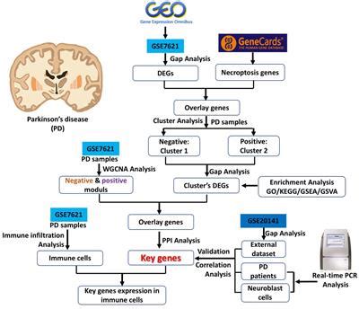 Frontiers Identification Of Necroptosis Related Genes In Parkinsons