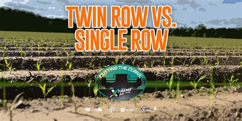 Twin Row Versus Single Row Corn Soybean Results On Raised Beds