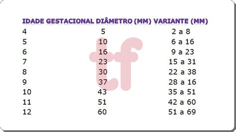 O Que é Saco Gestacional E Qual O Tamanho Correto Para A Gravidez