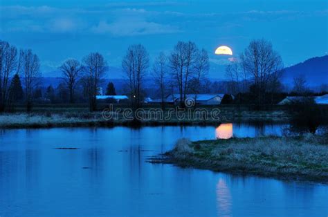 Moonbeam In River Stock Image Image Of Dark Color Glowing