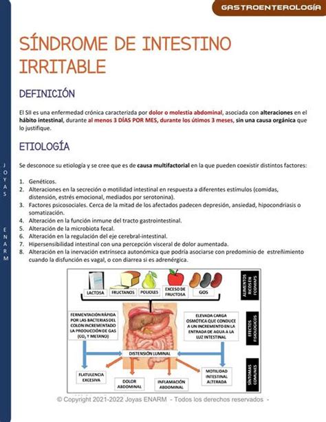 S Ndrome De Intestino Irritable Dra Liderly Udocz