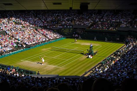 Wimbledon Final Winner 2024 - Jolee Olympia