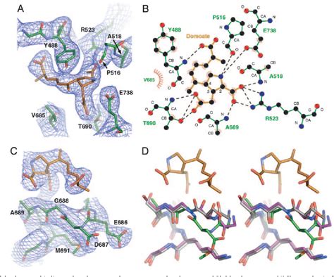 Figure From Structure Of The Kainate Receptor Subunit Glur Agonist