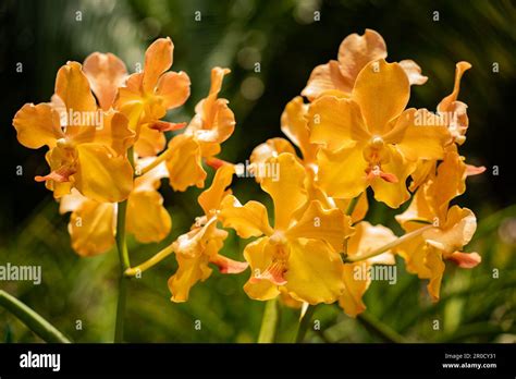 Fairchild Tropical Botanic Garden In Miami Florida Best Collection