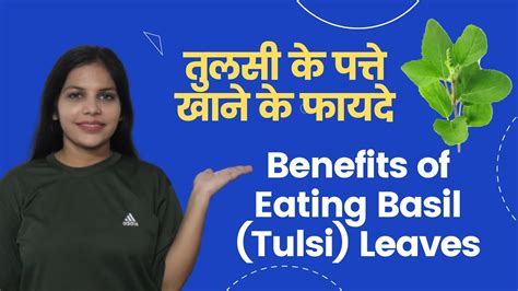 खाली पेट तुलसी के पत्ते खाने के फायदे Benefits Of Eating Tulsi Leaves