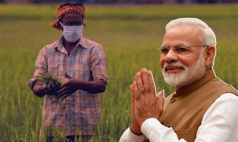 Cabinet Approves PM PRANAM And Urea Gold Schemes To Promote Sustainable