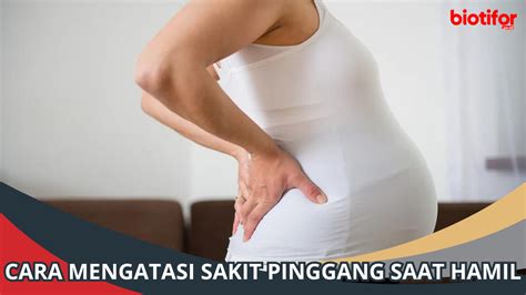 Cara Mengatasi Sakit Pinggang Saat Hamil Tips Dan Perawatan Biotifor