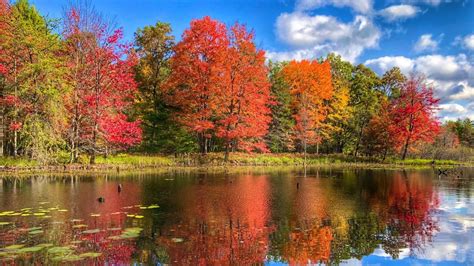 Michigan Autumn Wallpapers Top Free Michigan Autumn Backgrounds