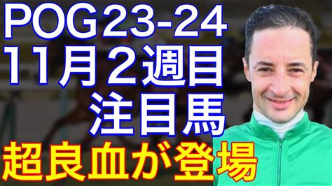 【pog23 24】11月2週目デビューの注目新馬を紹介【遅れてきた超良血！ルメールjが大暴れの予感⁉︎】 Youtube