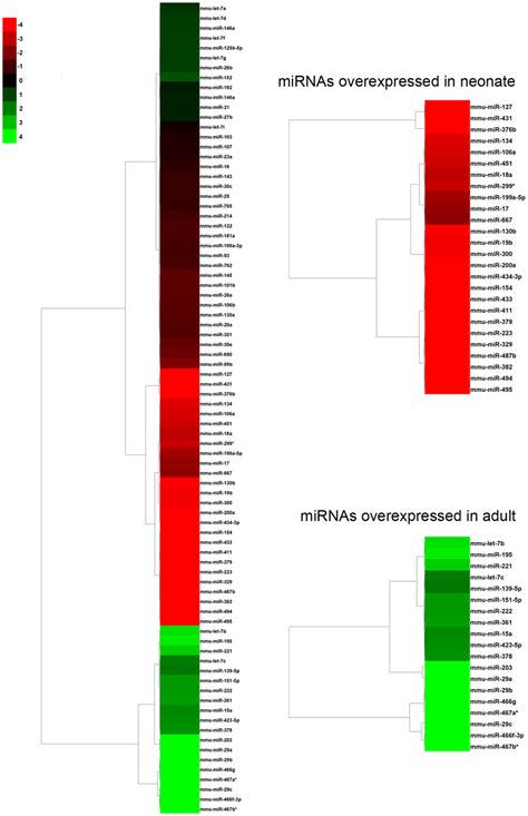 Mirna Expression Profile Differentially Expressed Mirnas Were