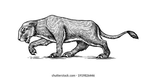 Lion Animal Cave Zoo: Over 555 Royalty-Free Licensable Stock Illustrations & Drawings | Shutterstock