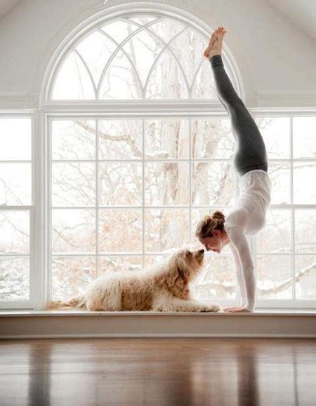 DIY DOG-FRIENDLY YOGA - PAWSH MAGAZINE | A New Breed of Dog Magazine