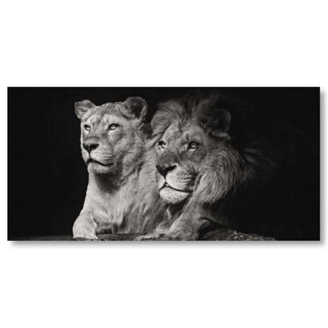 Tableau Lion Et Lionne Noir Et Blanc Tabloide